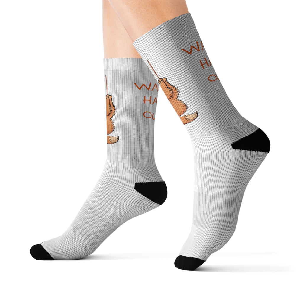 Funny Kitten Socks – "Wanna Hang Out?" Sublimated Crew Socks